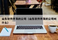 山东软件开发的公司（山东软件开发的公司叫什么）