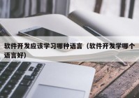 软件开发应该学习哪种语言（软件开发学哪个语言好）